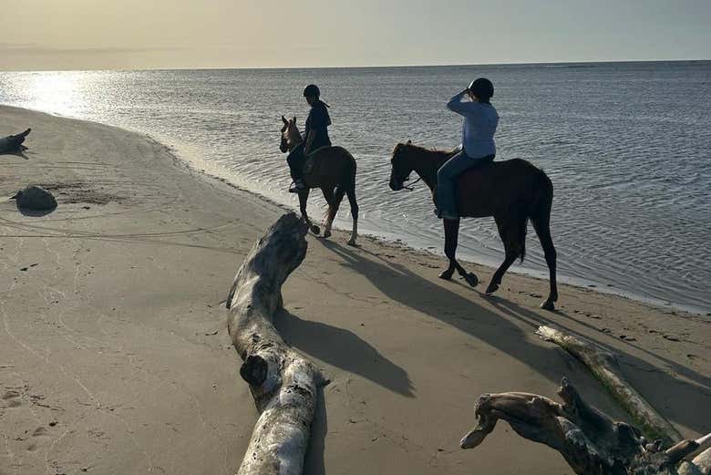 Este tour será um verdadeiro contato com a natureza