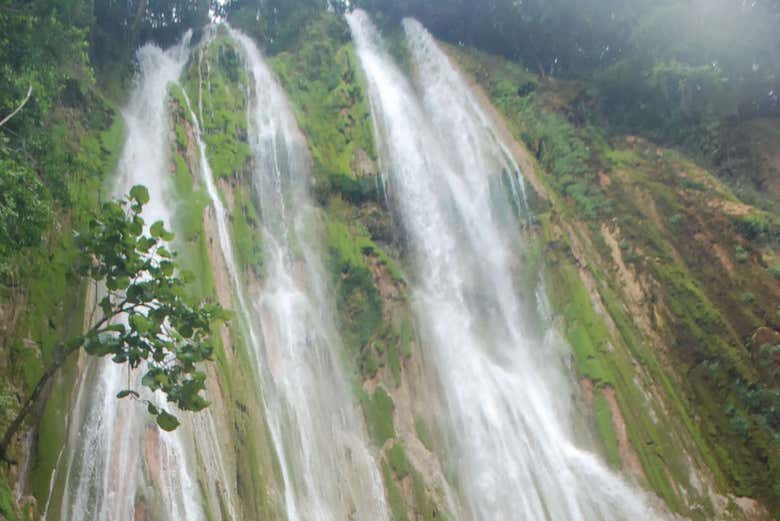 El Limón