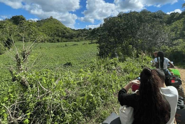 Contemplando las colinas verdes de la zona