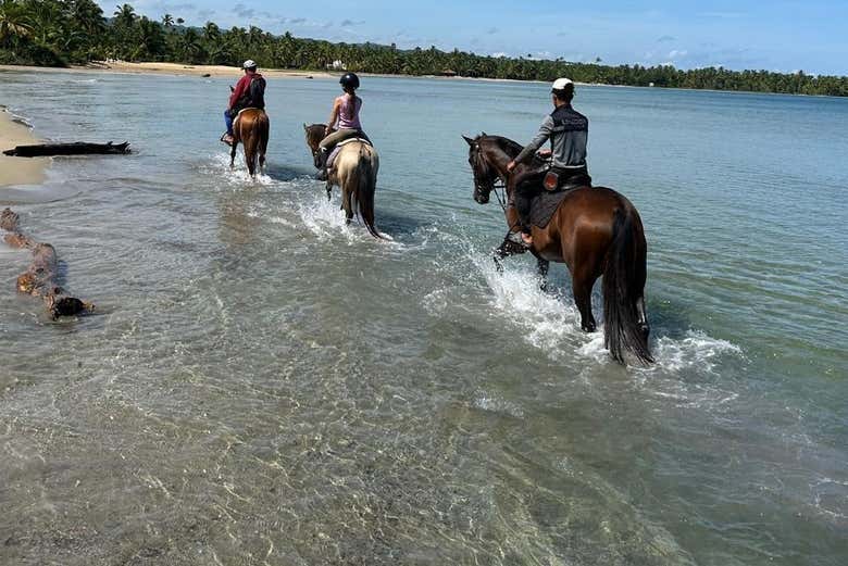 Desfrutando da praia El Limón a cavalo