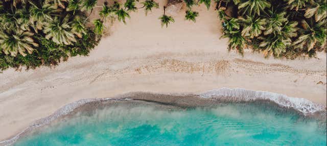 Costa Esmeralda & Punta de la Finca Beaches Horse Ride