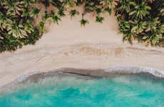 Costa Esmeralda & Punta de la Finca Beaches Horse Ride