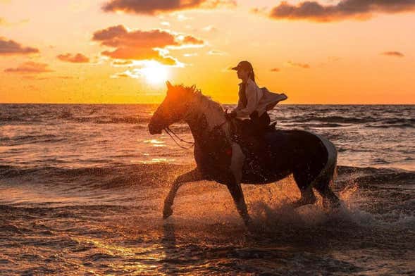 Balade à cheval sur la plage El Limón