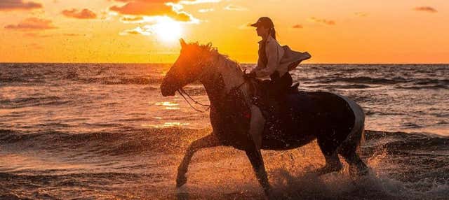Balade à cheval sur la plage El Limón