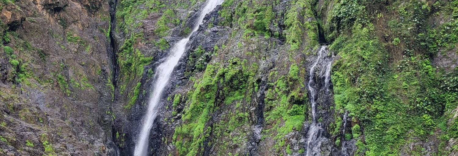 Excursions d'une journée à Miches