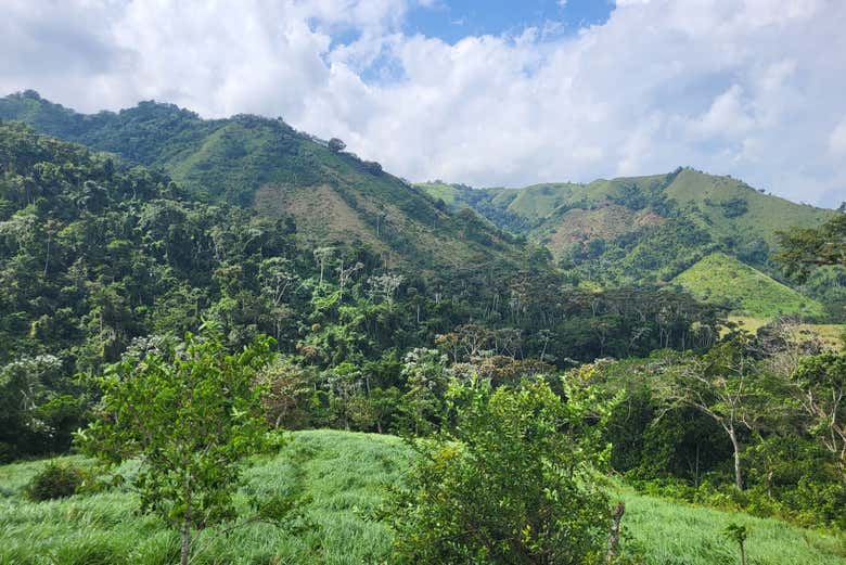 Caminaremos por la selva dominicana