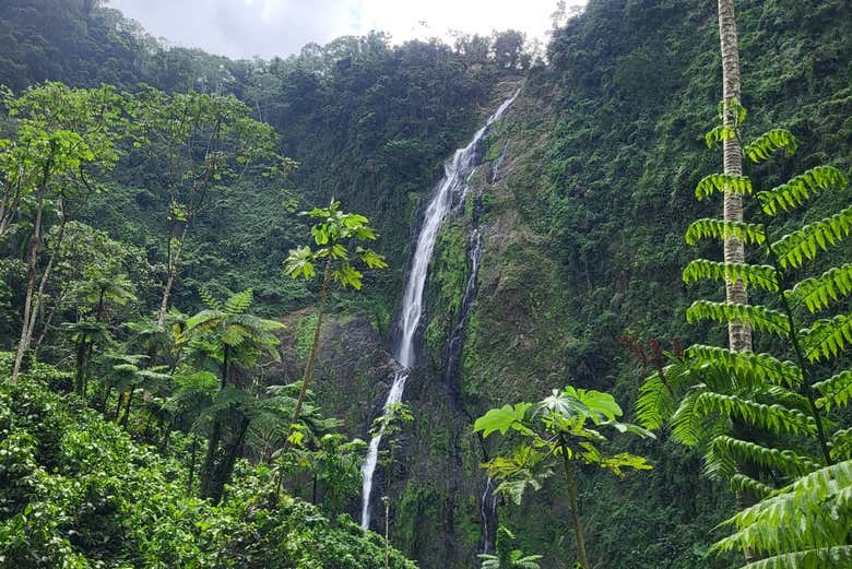 El Salto de La Jalda