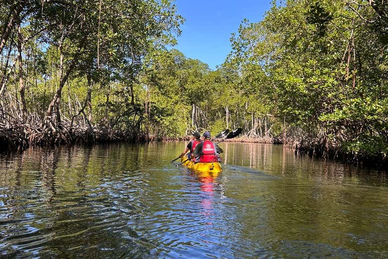 Remeremo tra le mangrovie