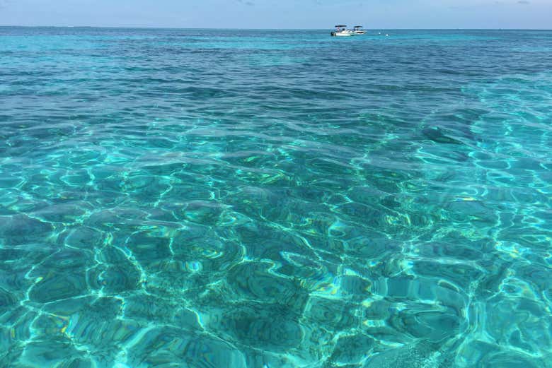 Sarete immersi in un ambiente incredibile