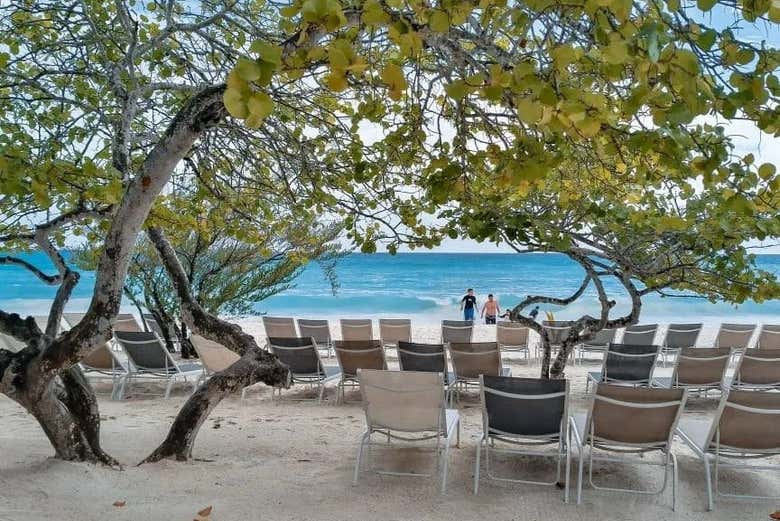 Plan relax en isla Saona