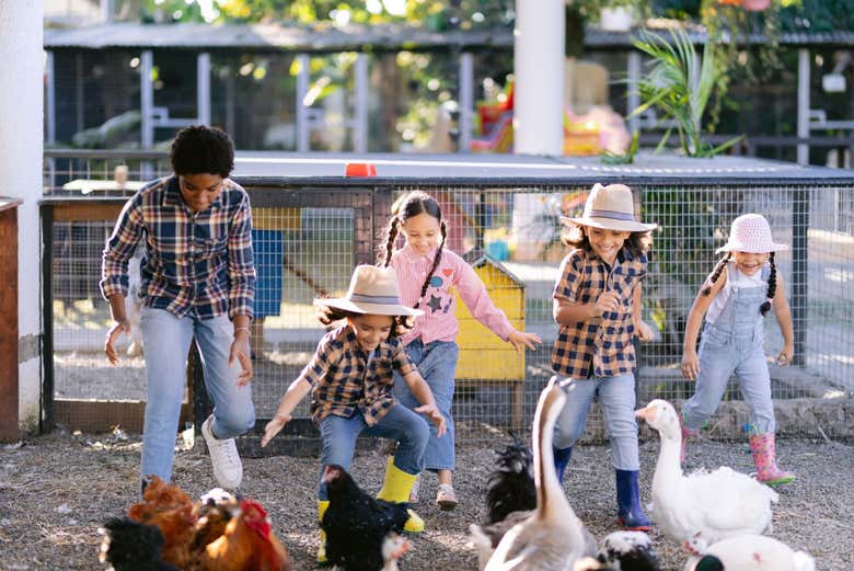 Niños jugando en la granja