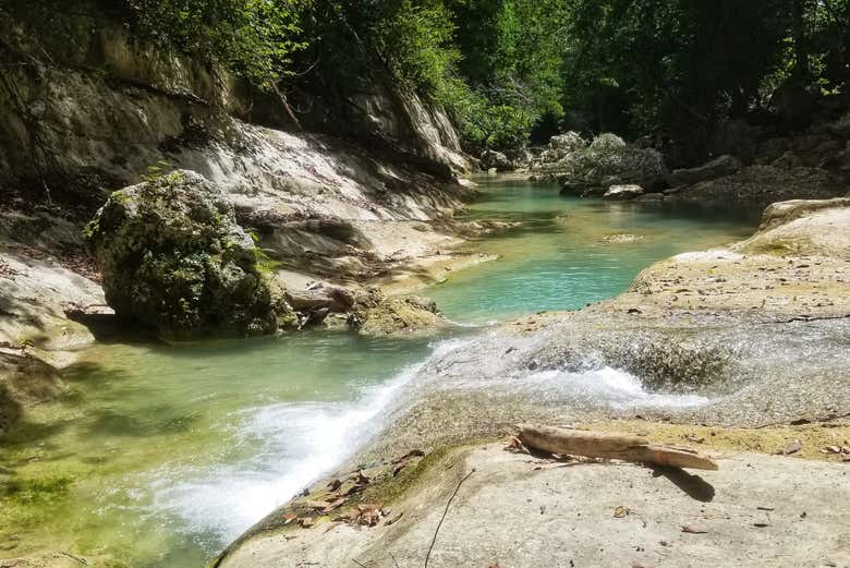 Rio Cola de Pato