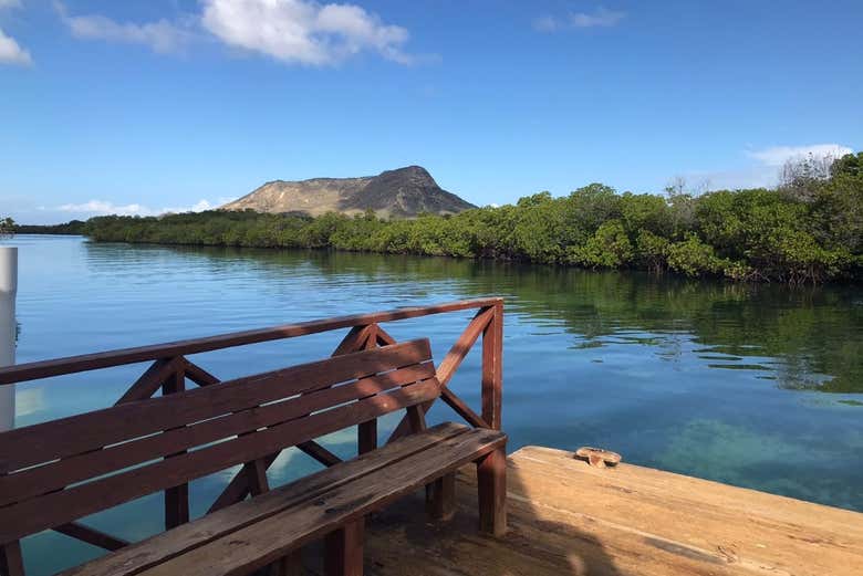 Plataforma ecoturística