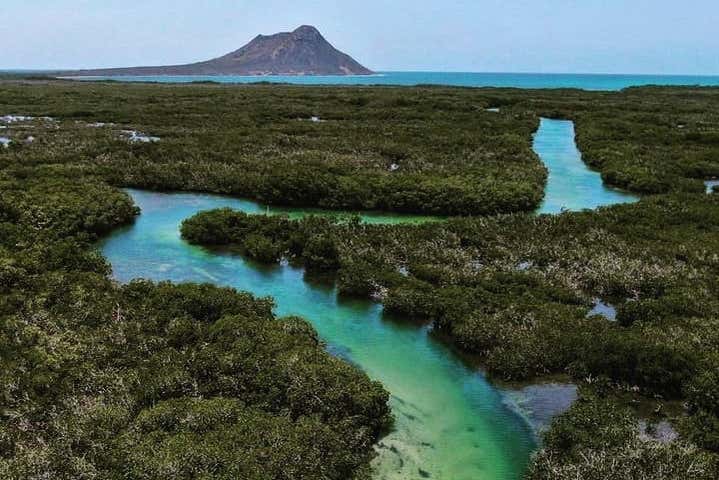 Panorámica de los manglares de Monte Cristi