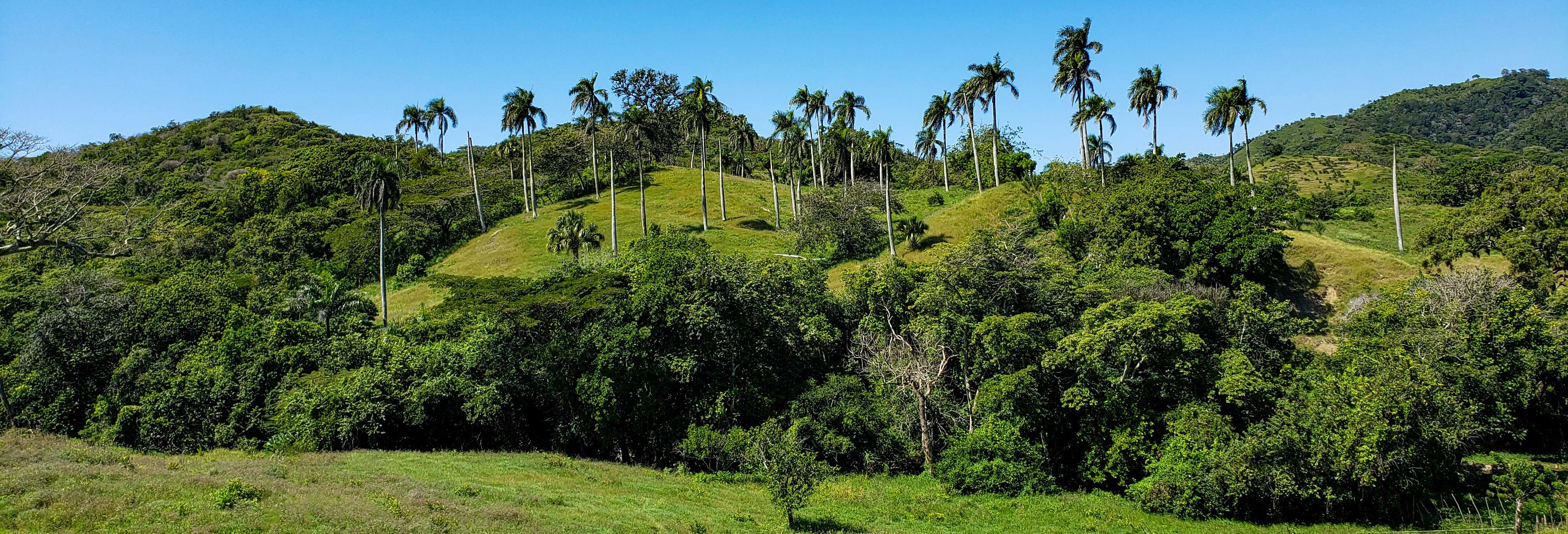 Monte Plata