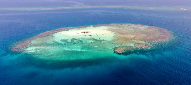 Cayo Arena Day Trip