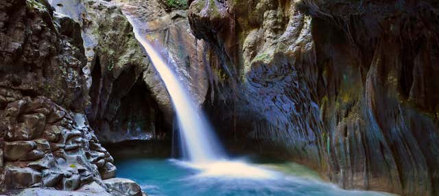 Excursión a los Charcos de Damajagua para cruceros