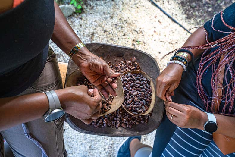 Pronti per il tour del cacao?
