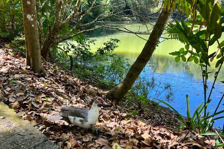 Admire natural landscapes