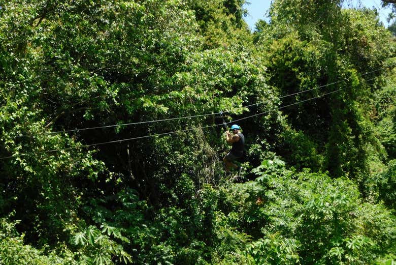 Volo in zip line tra gli alberi della foresta