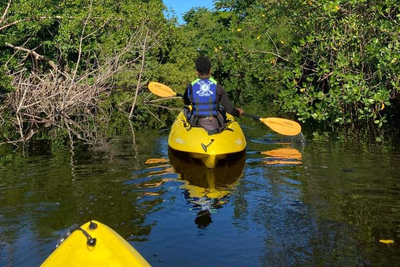 Disfrutando de la travesía