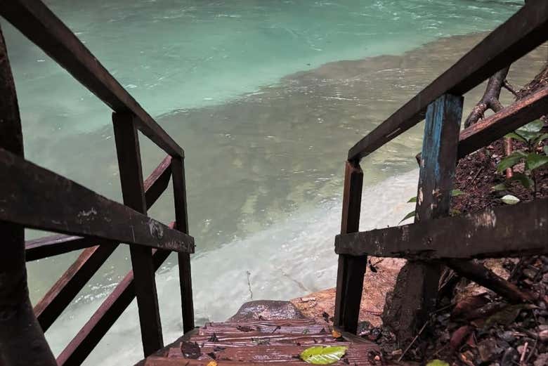 Escaleras en medio del bosque tropical hacia el río Sonador