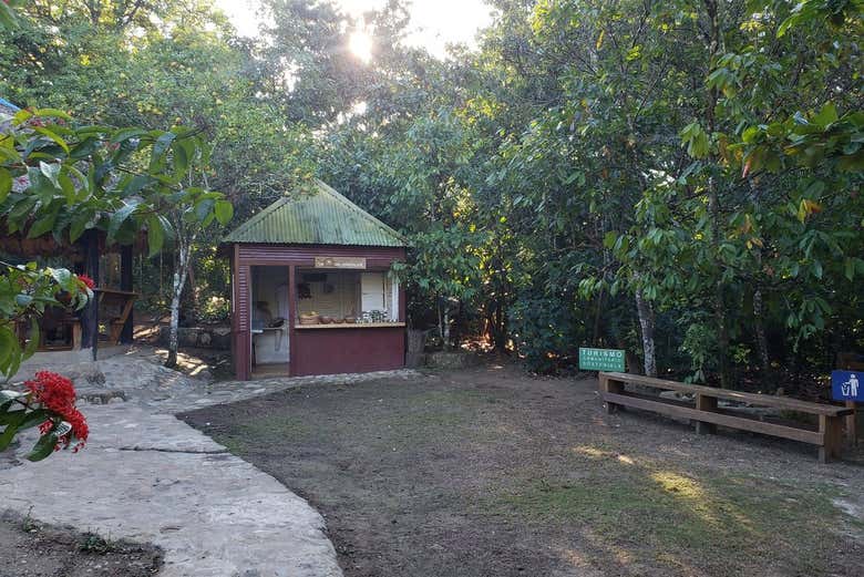 Visit a traditional establishment