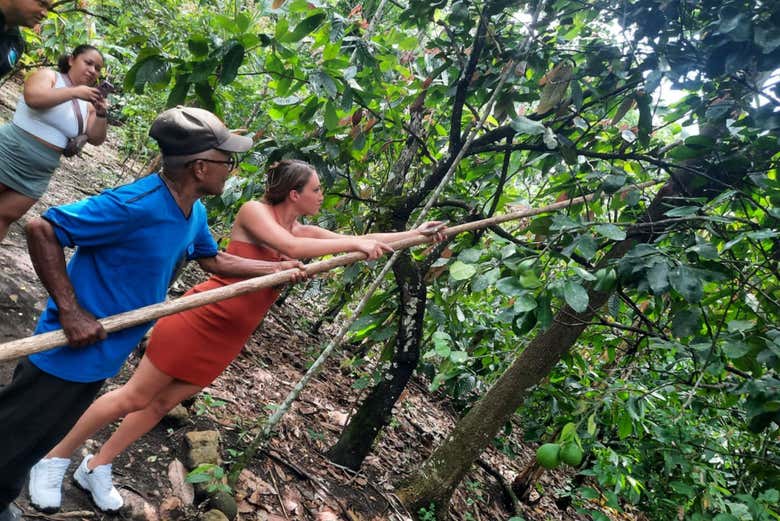 Make the most of your visit!