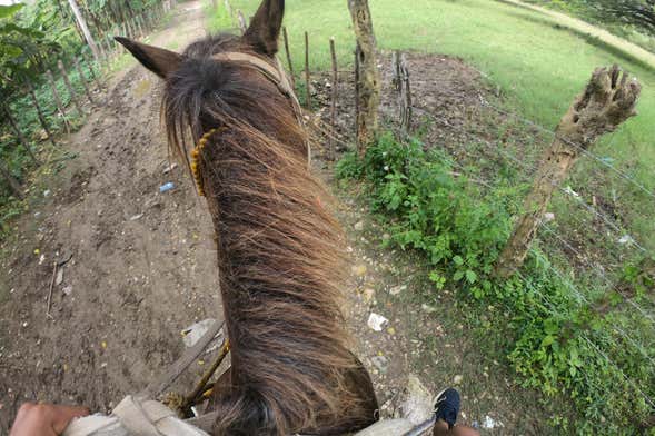 Paseo a caballo por Jamao al Norte