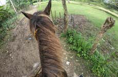 Passeio a cavalo por Jamao al Norte