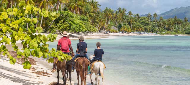 Balade à cheval sur la plage de Puerto Plata