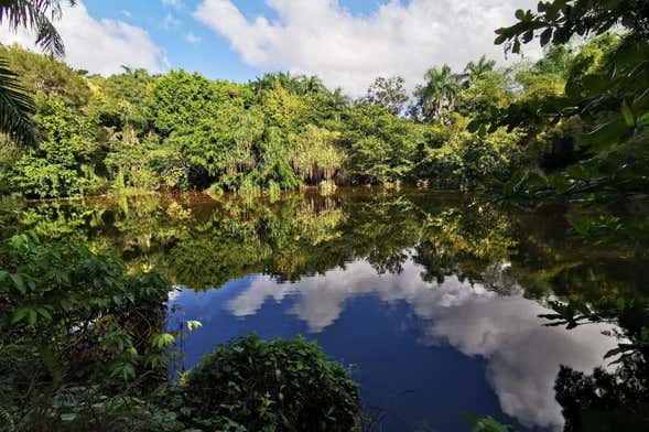 Tour por Puerto Plata e Taino Valley