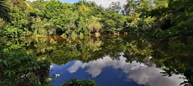 Tour por Puerto Plata y Taino Valley