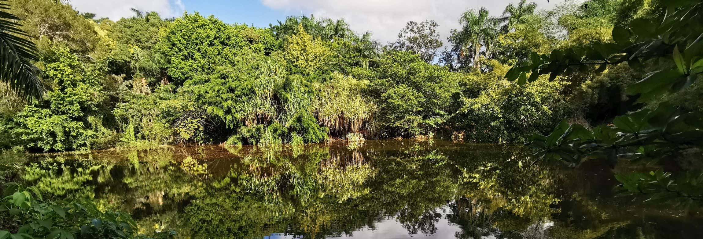 Day trips in Puerto Plata