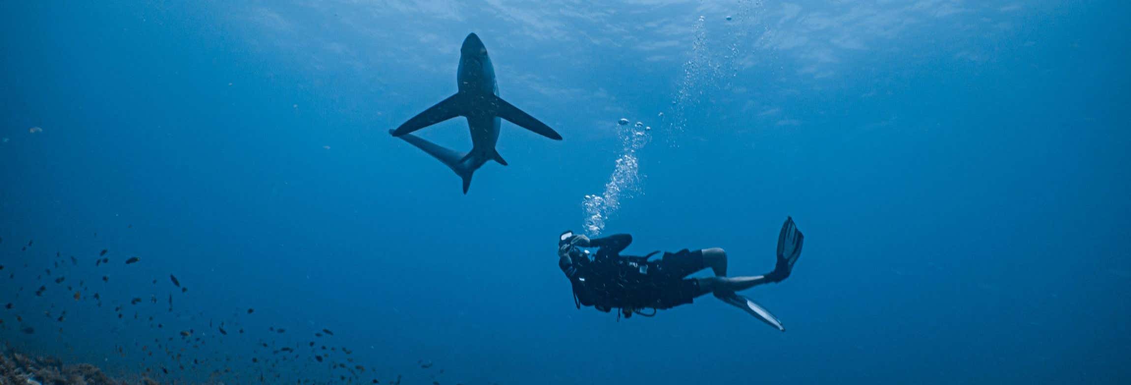 Buceo en Punta Cana