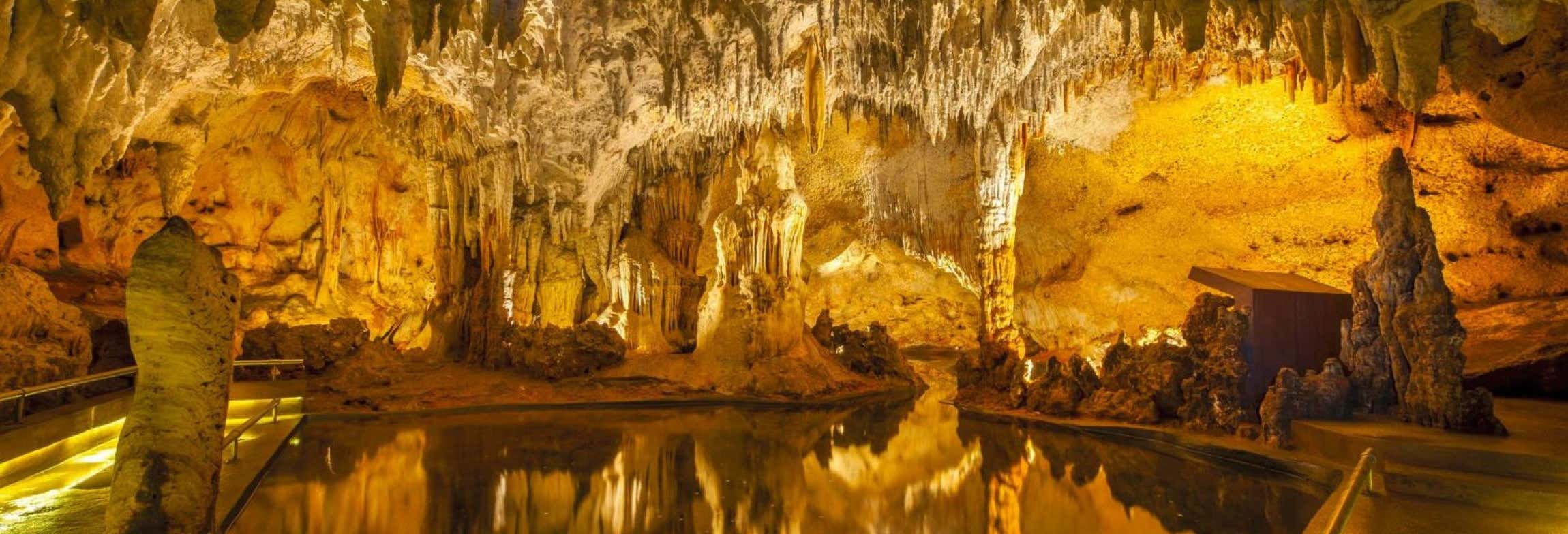 Excursions d'une journée à Punta Cana