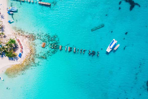 Excursão à ilha Saona e rio Chavón