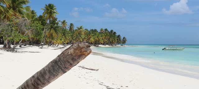 Excursión a Isla Saona en catamarán