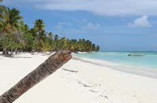 Excursion sur l'île Saona en catamaran