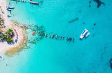 Excursión a la isla Saona + Altos de Chavón
