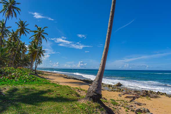 El Limón Beach Day Trip