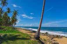 Excursión a la playa El Limón