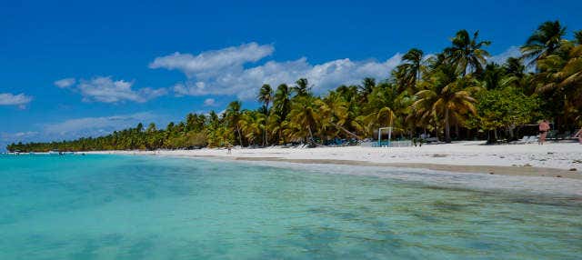 Excursión privada a Isla Saona en lancha 