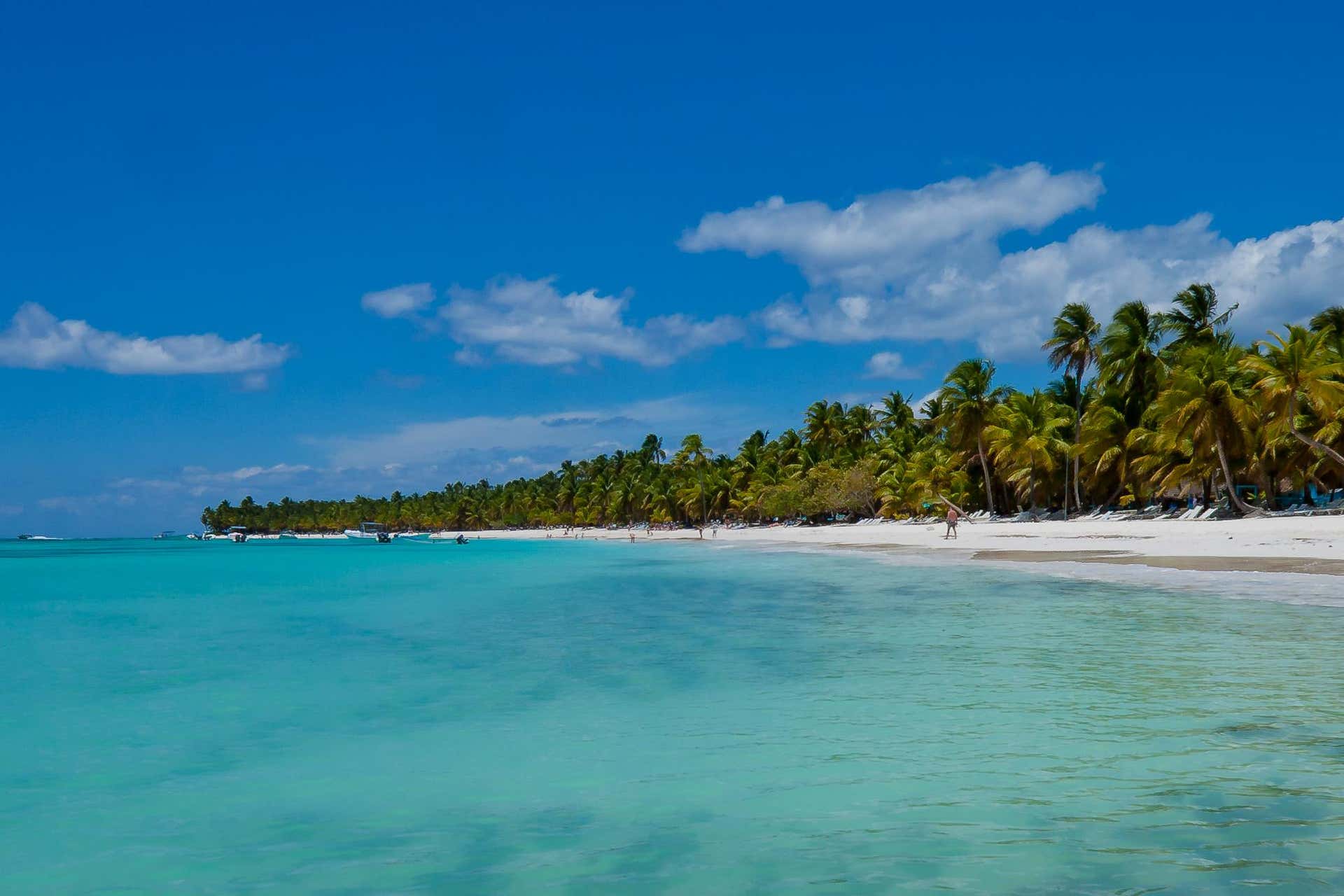 isla saona tour from la romana