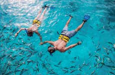 Excursión al Reef Explorer