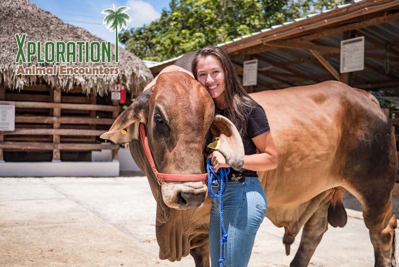 Hugging animals at the Punta Cana animal park