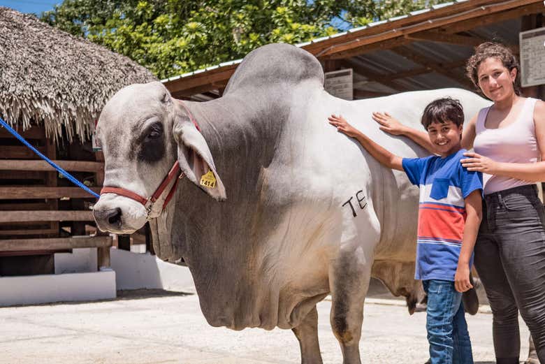 Con gli animali al parco di Punta Cana