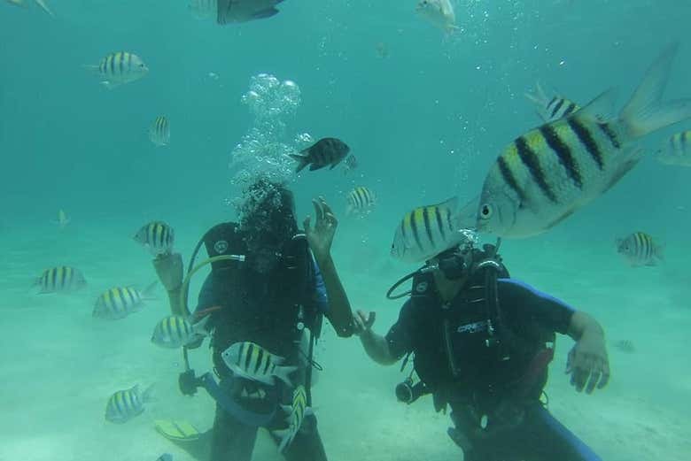 Exploring the seabed