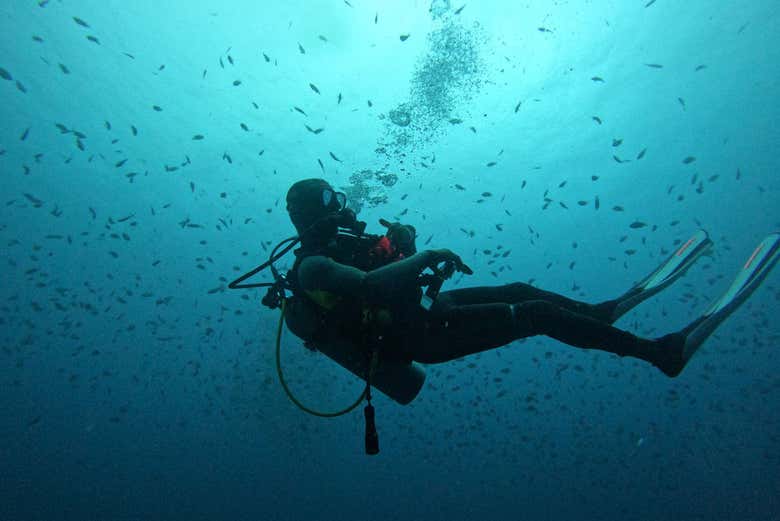 DIVEMASTER