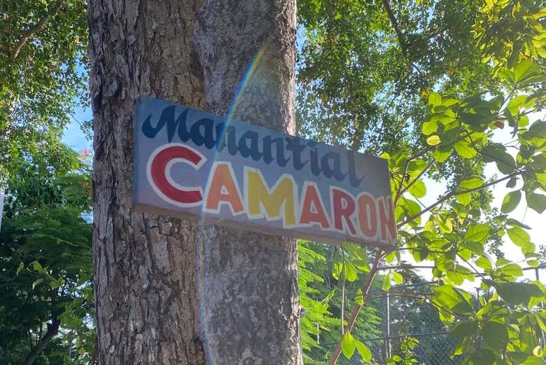 Caminaremos por los senderos naturales de Bayahíbe